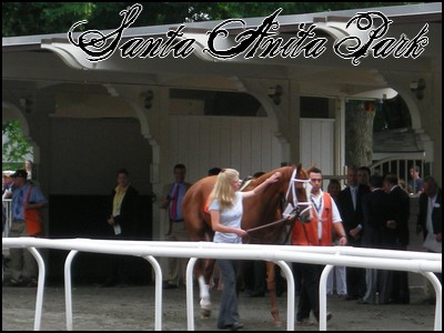 //santa-anita.gportal.hu/portal/santa-anita/image/gallery/1243974477_07.jpg