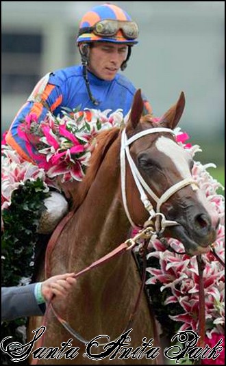 //santa-anita.gportal.hu/portal/santa-anita/image/gallery/1243974497_98.jpg