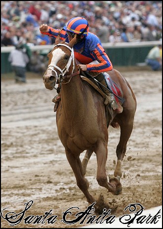 //santa-anita.gportal.hu/portal/santa-anita/image/gallery/1243974512_31.jpg