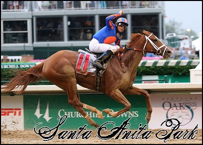 //santa-anita.gportal.hu/portal/santa-anita/image/gallery/1243974516_32.jpg