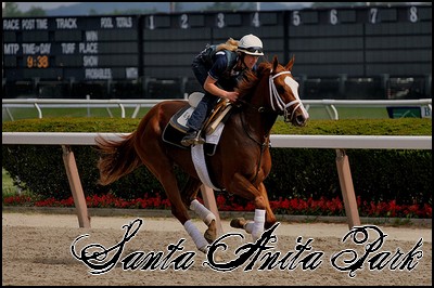 //santa-anita.gportal.hu/portal/santa-anita/image/gallery/1243974537_11.jpg