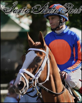 //santa-anita.gportal.hu/portal/santa-anita/image/gallery/1243974546_30.jpg