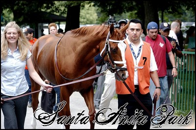 //santa-anita.gportal.hu/portal/santa-anita/image/gallery/1243974571_18.jpg