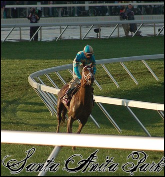 //santa-anita.gportal.hu/portal/santa-anita/image/gallery/1244036976_06.jpg