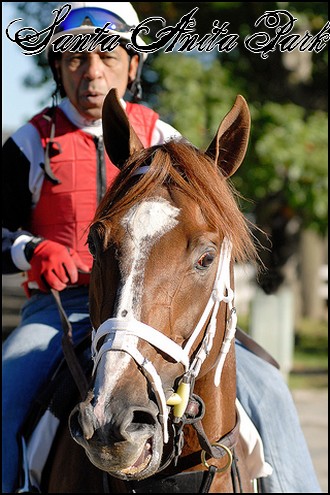 //santa-anita.gportal.hu/portal/santa-anita/image/gallery/1244036981_13.jpg
