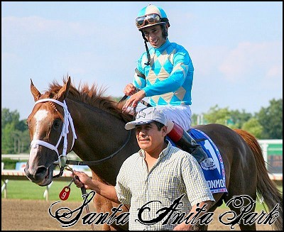 //santa-anita.gportal.hu/portal/santa-anita/image/gallery/1244036986_84.jpg