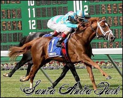 //santa-anita.gportal.hu/portal/santa-anita/image/gallery/1244037004_80.jpg