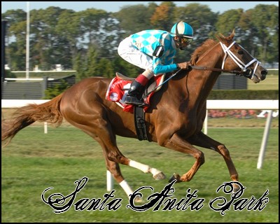 //santa-anita.gportal.hu/portal/santa-anita/image/gallery/1244037008_52.jpg