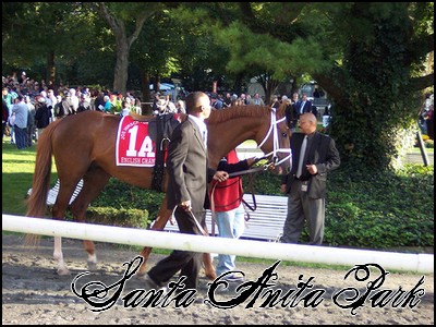 //santa-anita.gportal.hu/portal/santa-anita/image/gallery/1244037013_75.jpg