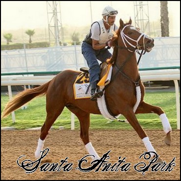 //santa-anita.gportal.hu/portal/santa-anita/image/gallery/1244037026_95.jpg