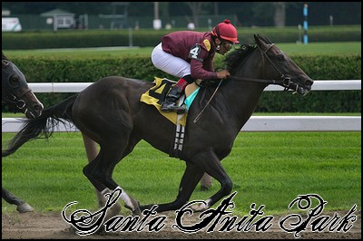 //santa-anita.gportal.hu/portal/santa-anita/image/gallery/1244058873_71.jpg