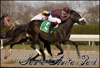 //santa-anita.gportal.hu/portal/santa-anita/image/gallery/1244058878_35.jpg