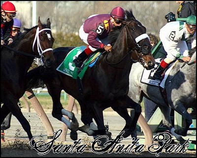 //santa-anita.gportal.hu/portal/santa-anita/image/gallery/1244058885_13.jpg