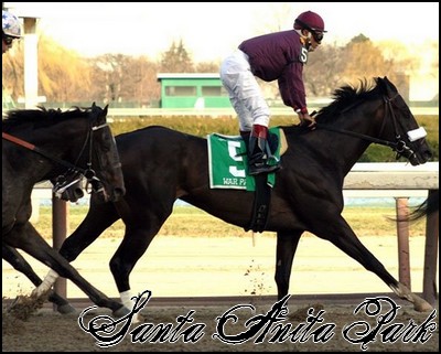 //santa-anita.gportal.hu/portal/santa-anita/image/gallery/1244058911_30.jpg