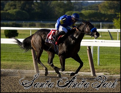 //santa-anita.gportal.hu/portal/santa-anita/image/gallery/1244120370_17.jpg