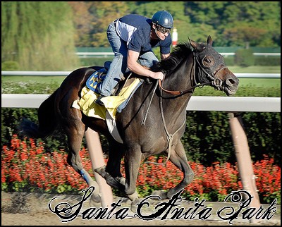 //santa-anita.gportal.hu/portal/santa-anita/image/gallery/1244120390_36.jpg