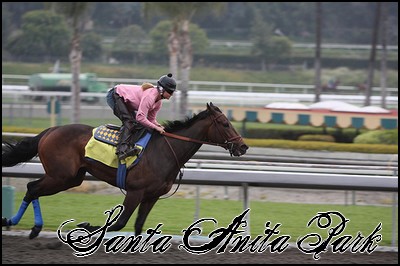 //santa-anita.gportal.hu/portal/santa-anita/image/gallery/1244120422_86.jpg