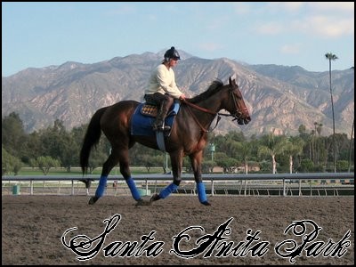 //santa-anita.gportal.hu/portal/santa-anita/image/gallery/1244120435_58.jpg