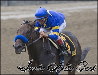 //santa-anita.gportal.hu/portal/santa-anita/image/gallery/1244120439_67.jpg