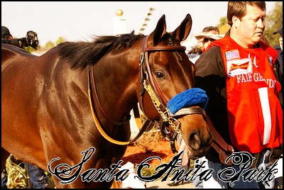 //santa-anita.gportal.hu/portal/santa-anita/image/gallery/1244120870_23.jpg