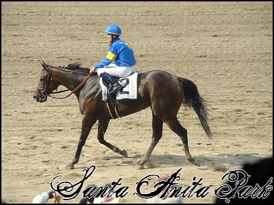 //santa-anita.gportal.hu/portal/santa-anita/image/gallery/1244120874_98.jpg