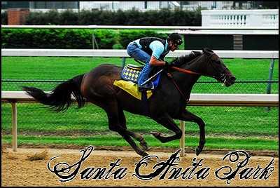 //santa-anita.gportal.hu/portal/santa-anita/image/gallery/1244120878_62.jpg