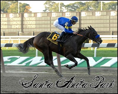 //santa-anita.gportal.hu/portal/santa-anita/image/gallery/1244120890_35.jpg