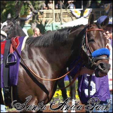 //santa-anita.gportal.hu/portal/santa-anita/image/gallery/1244120901_48.jpg