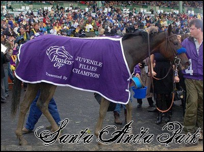 //santa-anita.gportal.hu/portal/santa-anita/image/gallery/1244120917_30.jpg