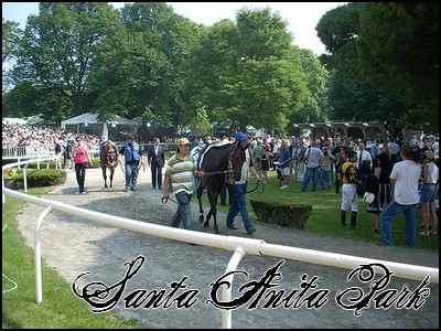 //santa-anita.gportal.hu/portal/santa-anita/image/gallery/1244120926_71.jpg