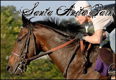 //santa-anita.gportal.hu/portal/santa-anita/image/gallery/1244131939_19.jpg
