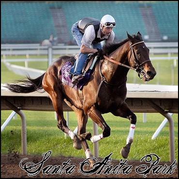 //santa-anita.gportal.hu/portal/santa-anita/image/gallery/1244131949_43.jpg