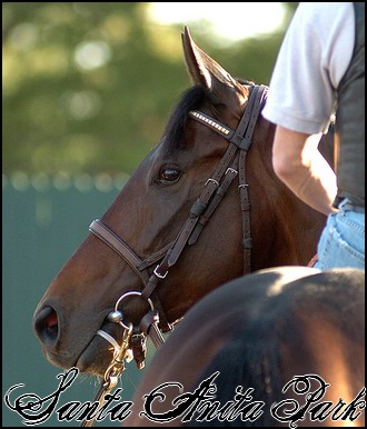 //santa-anita.gportal.hu/portal/santa-anita/image/gallery/1244131952_99.jpg