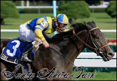 //santa-anita.gportal.hu/portal/santa-anita/image/gallery/1244131956_60.jpg