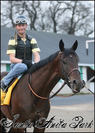 //santa-anita.gportal.hu/portal/santa-anita/image/gallery/1244131969_94.jpg
