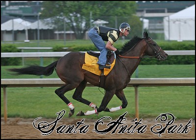 //santa-anita.gportal.hu/portal/santa-anita/image/gallery/1244131973_93.jpg