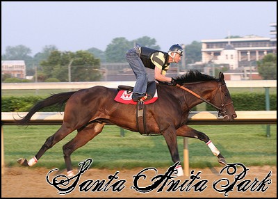 //santa-anita.gportal.hu/portal/santa-anita/image/gallery/1244131981_70.jpg