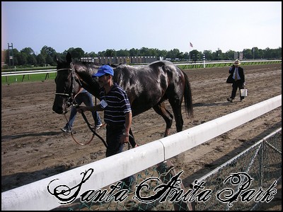 //santa-anita.gportal.hu/portal/santa-anita/image/gallery/1244131988_45.jpg