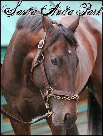 //santa-anita.gportal.hu/portal/santa-anita/image/gallery/1244131992_77.jpg