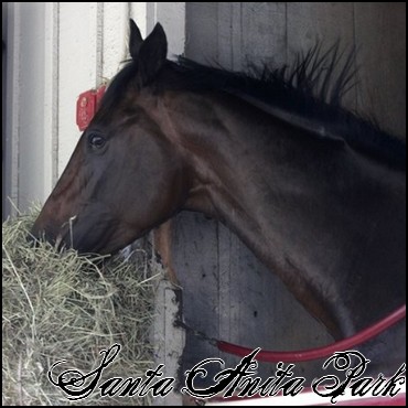 //santa-anita.gportal.hu/portal/santa-anita/image/gallery/1244132039_84.jpg