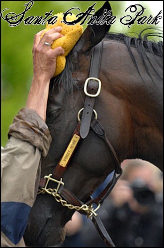 //santa-anita.gportal.hu/portal/santa-anita/image/gallery/1244132051_43.jpg