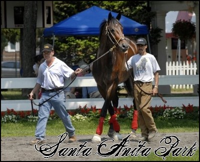 //santa-anita.gportal.hu/portal/santa-anita/image/gallery/1244132055_12.jpg
