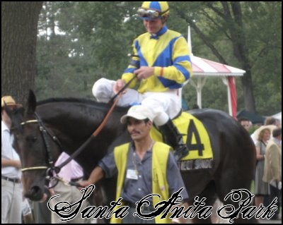 //santa-anita.gportal.hu/portal/santa-anita/image/gallery/1244132062_13.jpg
