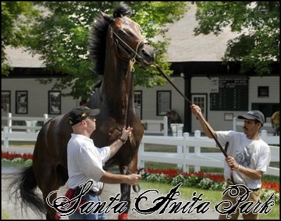 //santa-anita.gportal.hu/portal/santa-anita/image/gallery/1244132067_46.jpg