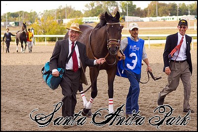 //santa-anita.gportal.hu/portal/santa-anita/image/gallery/1244132075_73.jpg