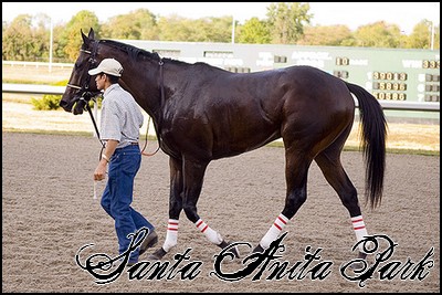 //santa-anita.gportal.hu/portal/santa-anita/image/gallery/1244132080_36.jpg