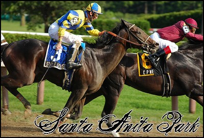 //santa-anita.gportal.hu/portal/santa-anita/image/gallery/1244132089_79.jpg