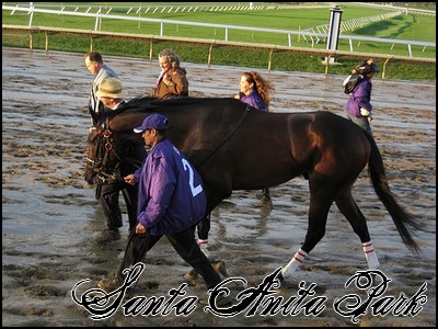 //santa-anita.gportal.hu/portal/santa-anita/image/gallery/1244132093_30.jpg