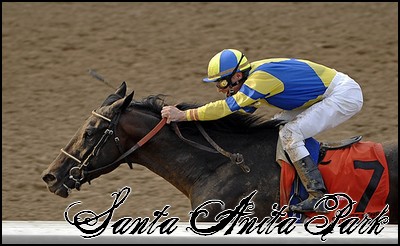 //santa-anita.gportal.hu/portal/santa-anita/image/gallery/1244132101_78.jpg