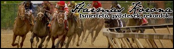 //santa-anita.gportal.hu/portal/santa-anita/image/gallery/1245343169_51.jpg